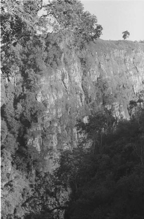 Steilwand : Blick auf die Vegetation einer Steilwand in den Usambara-Bergen.