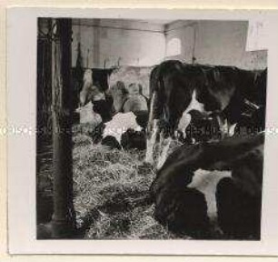 Hinsdorf, Landwirtschaftlicher Betrieb Schwertfeger