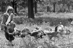 Gesunde Hühnerhaltung von Martha Mang in Durlach