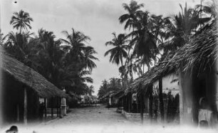 Siedlung : Eine Siedlung in Quelimane
