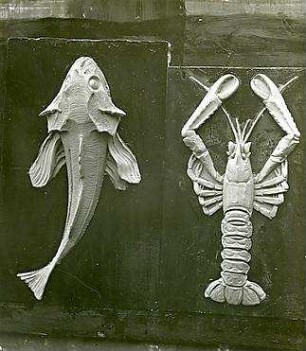 Fischer, Theodor; Stuttgart, Heusteigstr.; Sammelschulhaus - Fisch- und Hummerrelief