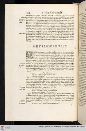 Metamorphoses