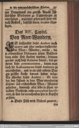 Das XIV. Capitel. Von Meer- Wundern