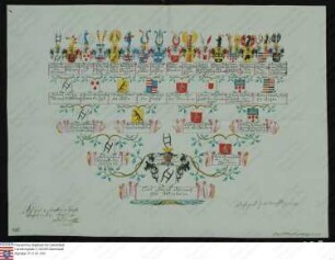 Ahnenprobe des Carl Joseph Horneck v. Weinheim. - ausgefertigt 1801 Juni 1, Pergament, Zeichner Joseph Melber