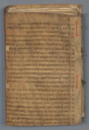 Arzneibuch - BSB Cgm 8855