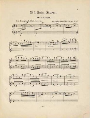 Strombilder : sechs vierhändige Clavierstücke ; op. 21, 3. Beim Sturm