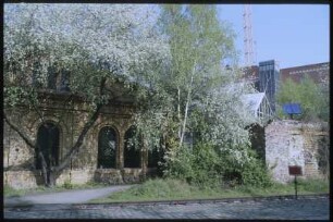 Museumspark im Frühling
