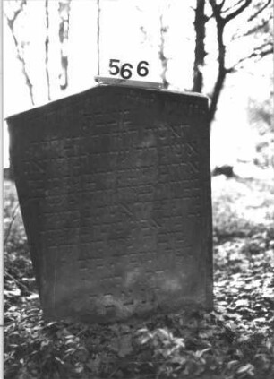 Grabstein 566 (Index: 99900764) Material: Sandstein Zustand: Inschrift gut erhalten, in Bodennähe verwittert Maße HxBxT: 100x70x9 cm Beschreibung: Stele mit Dreiecksabschluss: Grabstein 566