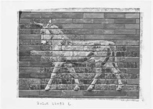 Berlin. Staatliche Museen, Vorderasiatisches Museum, Relief Schreitender Stier vom Ischtar-Tor