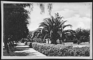 Rialto. A Tent Home Under the Palms, Rialto, Cal.