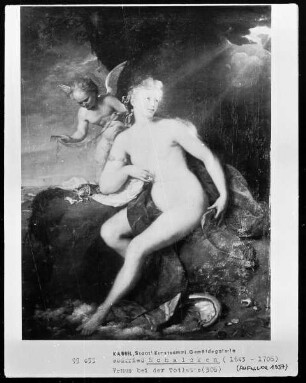 Die schaumgeborene Venus wird von Amor gepflegt & Die Wirkung des Tageslichts