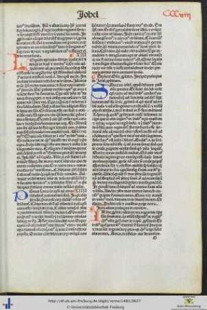 Prologi in Johel prophetam