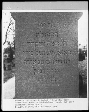 Grabstein von Rosalie Nickelsburg (gestorben 1897.02.02)