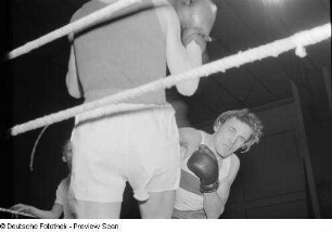 Boxkampf