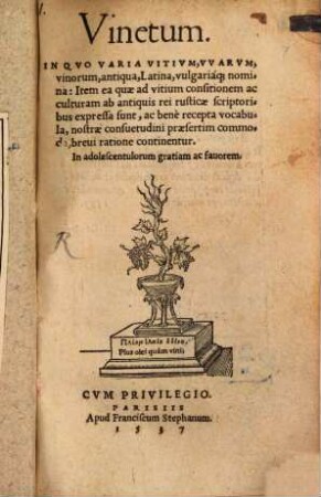 Vinetum in quo varia vitium, uvarum ... nomina ... continentur