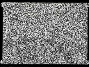 Mikrofotografie: Kupfer Zink Legierung (Messing)