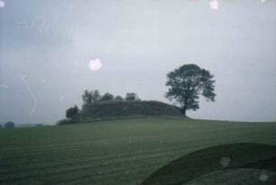 Sühlen: Grabhügel "Grabenberg" [Denkmalbuch Nr. 3]: auf Acker