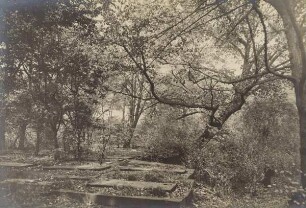 Alter Friedhof