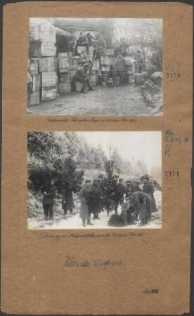 Einholung von Weihnachtsbäumen bei Cambrai