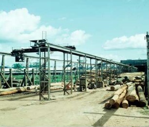 Sägewerk, Samreboi : Samreboi (Ghana), Sägewerk. 1959