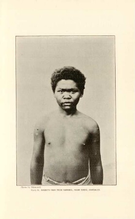 Plate IV. Negrito man from Nangsol, near Subig, Zambales