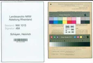 Entnazifizierung Heinrich Schayen , geb. 02.02.1900 (Ingenieur)