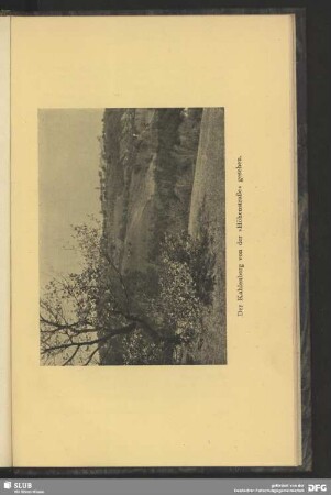 Der Kahlenberg von der Höhenstraße gesehen
