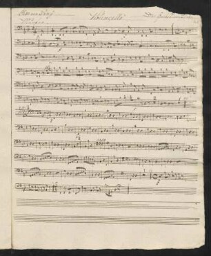 Violoncello