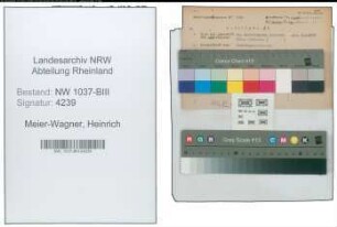 Entnazifizierung Heinrich Meier-Wagner , geb. 06.02.1897 (Steuerinspektor)