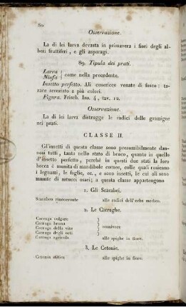 Classe II.