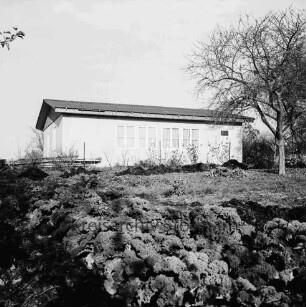 Kleingartenanlage: Am Hohenkamp: Kleingartenverein Hohenkamp e.V.: Vereinshaus: vorn Grünkohl, Böschung, Zaun, Bretterstapel, Baum