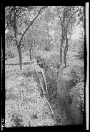 Nicht identifizierbare Ortschaft an der unteren Putna (=Nebenfluss des Sereth), am Șușița (Fluss im Osten Rumäniens), in der Gegend beim Sereth (=linker Nebenfluss der unteren Donau), bei Rãdulești, Mircești oder am Sasu (=Fluss in den Șureanu-Bergen) (alle Rumänien): verlassener Graben in den "Stellungen" in einem Hain