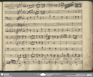 Cavatina: "Io m'inchino"