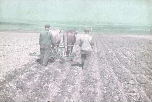 Vielfachgerät zum Furchenziehen für Kartoffellegen
