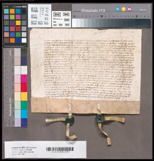[Reynart von Reifferscheid (Rijfferscheit); betr. Pachtung des Fronhofs zu Paffendorf nebst der Mühle und den Zehnten daselbst und zu Glesch, Destorf usw.]