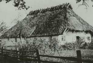 Börgerende