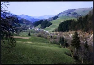 Fröhnd: von Fröhnd ins obere Wiesental