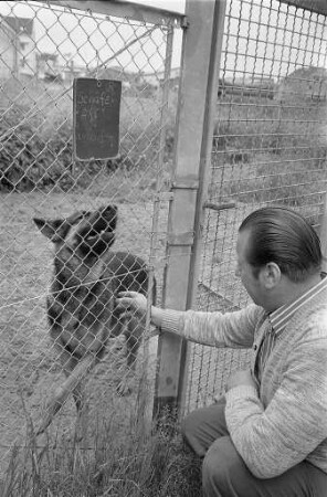 Aufnahme vermisster und herrenloser Hunde im Tierheim Daxlanden in der Hermann-Schneider-Allee 20