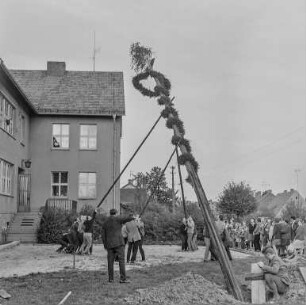 Maibaum stellen : Panschwitz-Kuckau. Aufrichten des Maibaumes