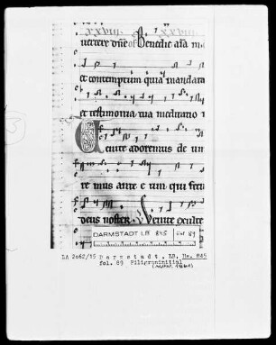 Graduale — Initiale V, Folio 89recto
