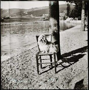 Aix-les-Bains. Grand Port. "Mignon" am Ufer des Lac du Bourget