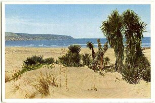 Strand bei Haifâ [Haifa]. Links Haifâ und Berg Karmel