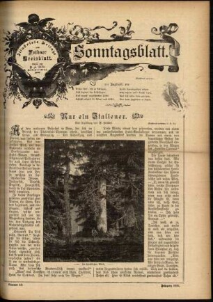 Ausgabe vom Sonntag, den 06. Oktober 1895.