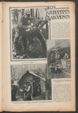 Los guerreros laboriosos