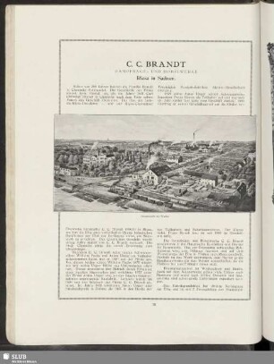 C. C. Brandt Dampfsäge- Und Hobelwerke Riesa in Sachsen