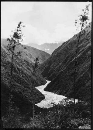 Río de La Paz umgeben von Trockenwald