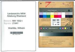 Entnazifizierung Wilhelm Woehlke, geb. 22.10.1905 (Ingenieur)