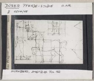 Albrecht Dürer: Pferde-Studie. Nürnberg, Stadtbibliothek