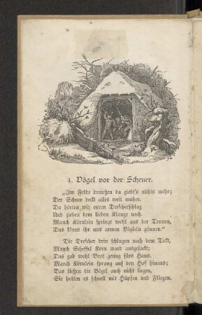 4. Vögel vor der Scheuer.