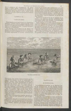 Capítulo LII. - El massaranduba.